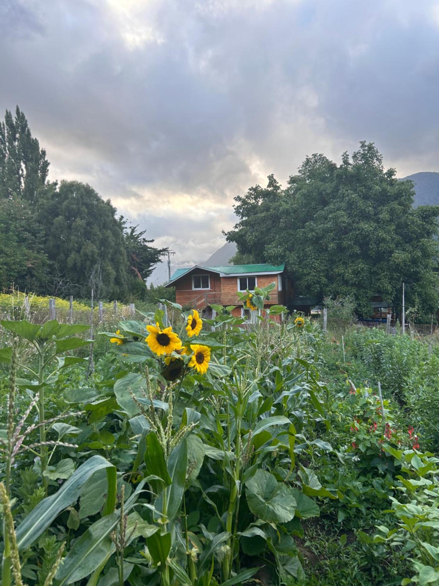 Turismo Rural Los Alpes Futaleufú المظهر الخارجي الصورة